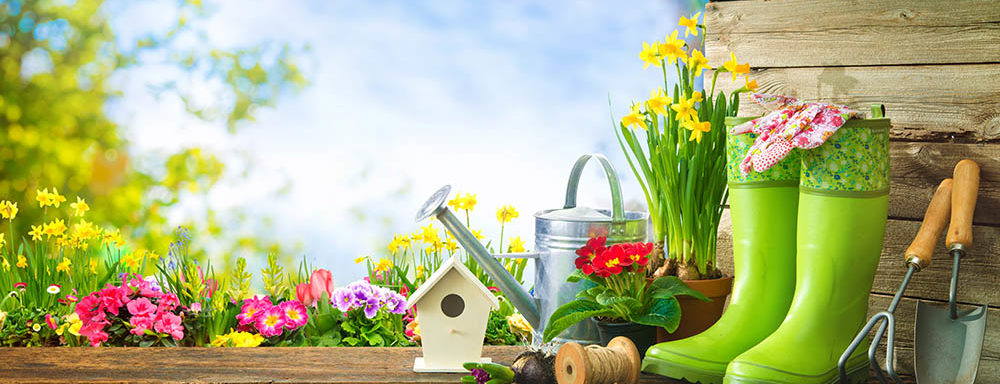 Local-Resident-Gardening-in-La-Grange-Iliinois